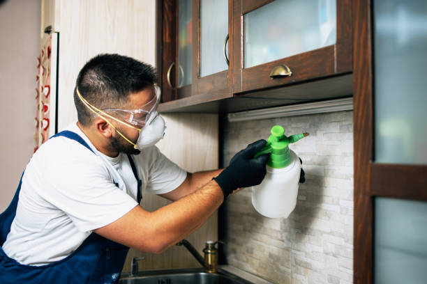 Best Best Pest Control Companies  in Lancaster, KY