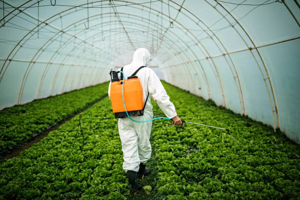 Best Affordable Pest Control Services  in Lancaster, KY
