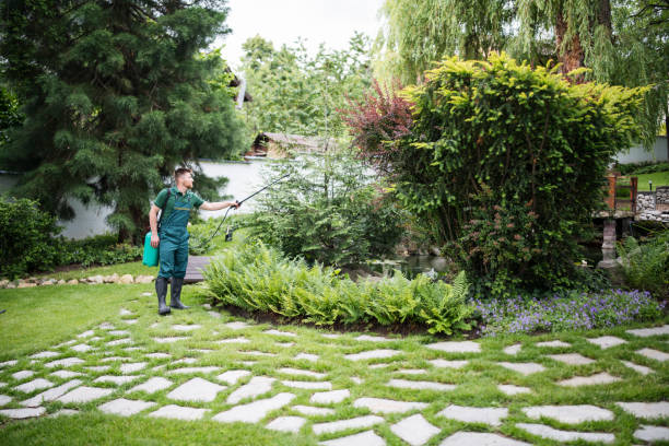 Best Affordable Pest Control Services  in Lancaster, KY