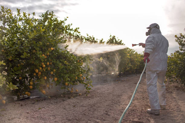 Best Pest Inspection Near Me  in Lancaster, KY