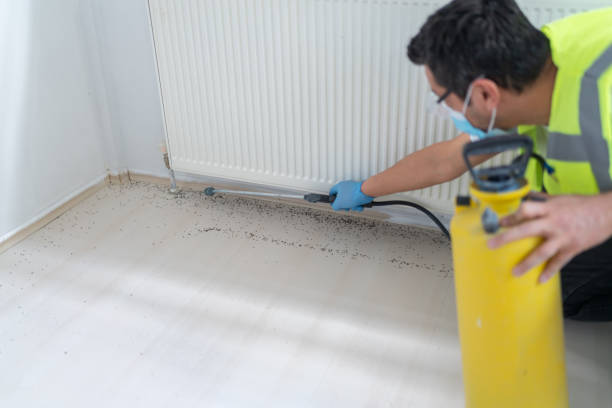 Trusted Lancaster, KY Pest Control Experts