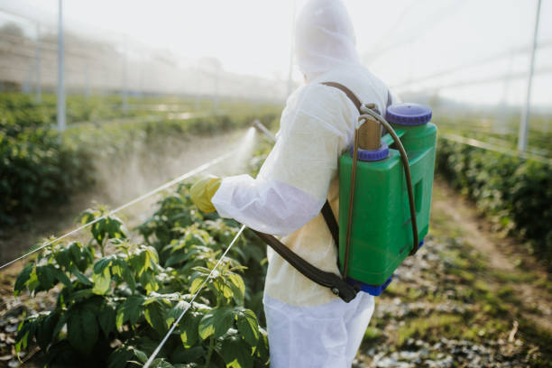 Best Best Pest Control Companies  in Lancaster, KY